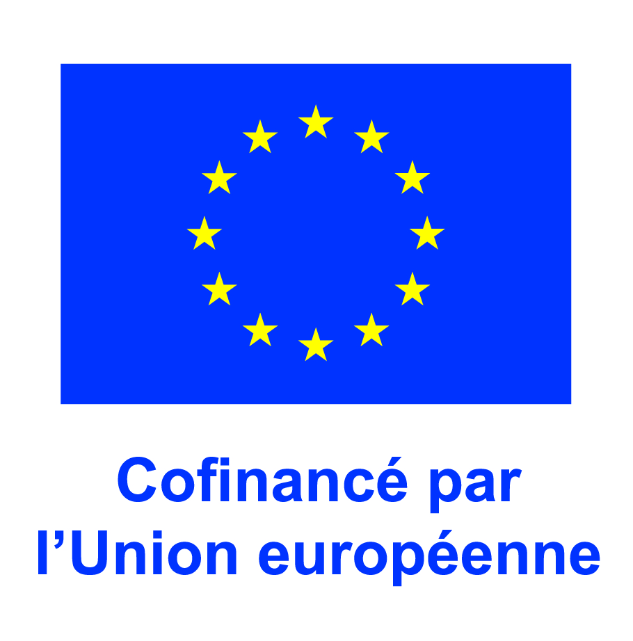 Logo EU